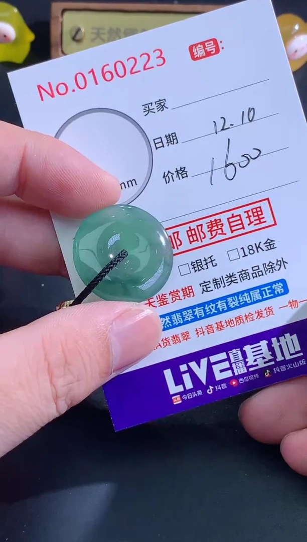 颈饰未镶嵌翡翠鹏**！天然缅甸A货翡翠