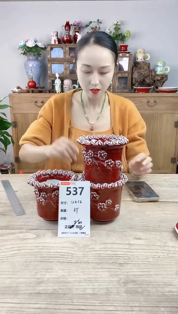 小玩子花盆直播号537
