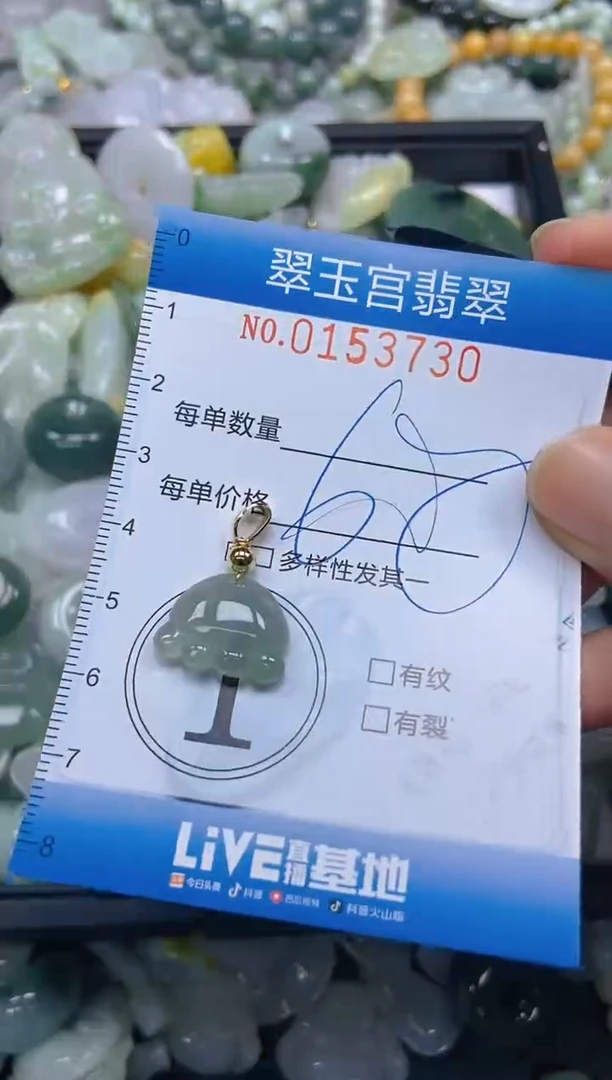 翡翠未镶嵌颈饰闪购0153730
