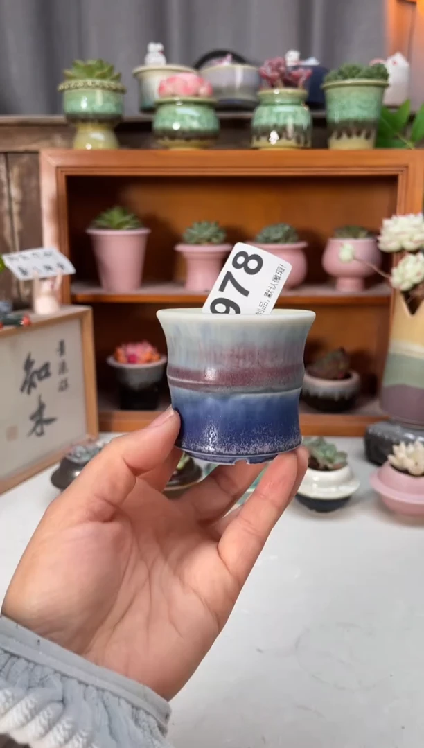 瓷片978小芳直播编号