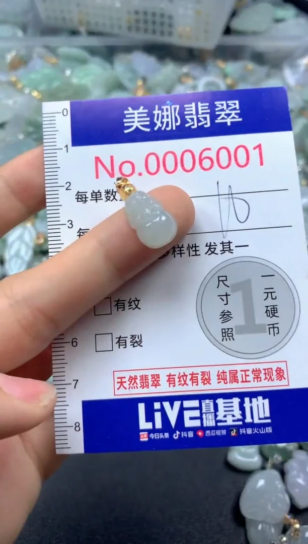 颈饰未镶嵌翡翠6001