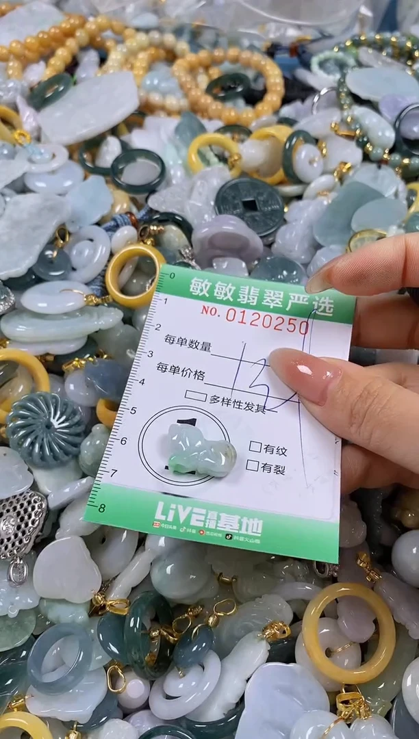 【闪购商品】翡翠颈饰未镶嵌闪购0120250