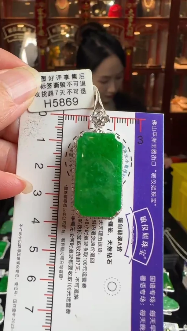 颈饰18K金镶嵌翡翠H5869辣绿无事牌
