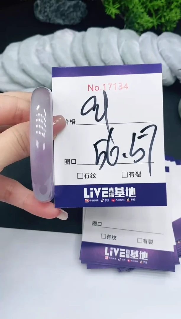 未镶嵌手镯翡翠17134