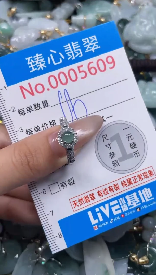 颈饰未镶嵌翡翠5609