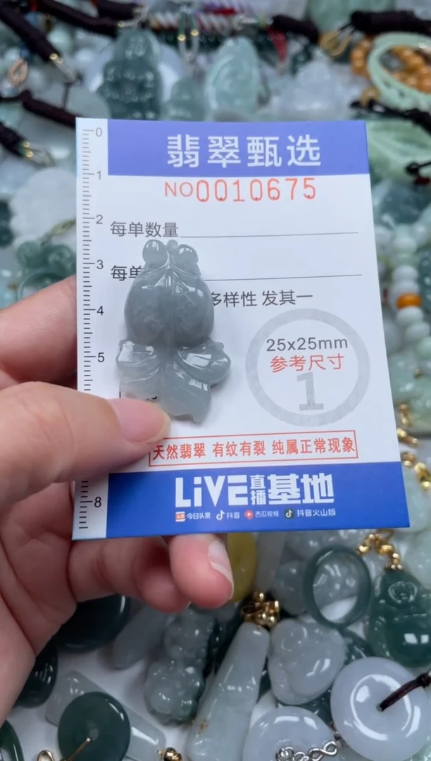 颈饰未镶嵌翡翠10675