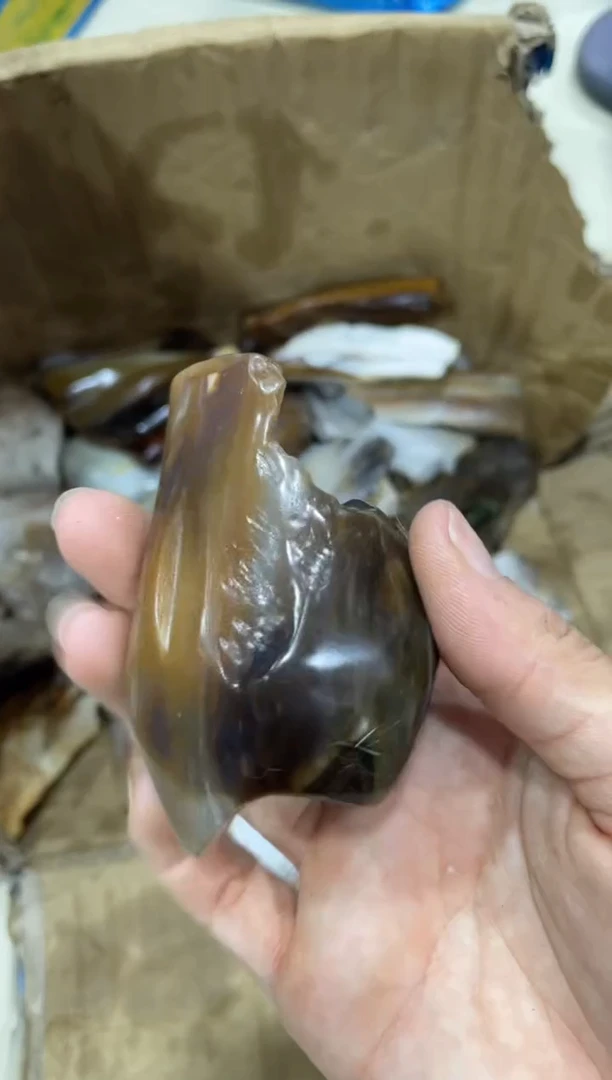 未镶嵌摆件硅化玉3