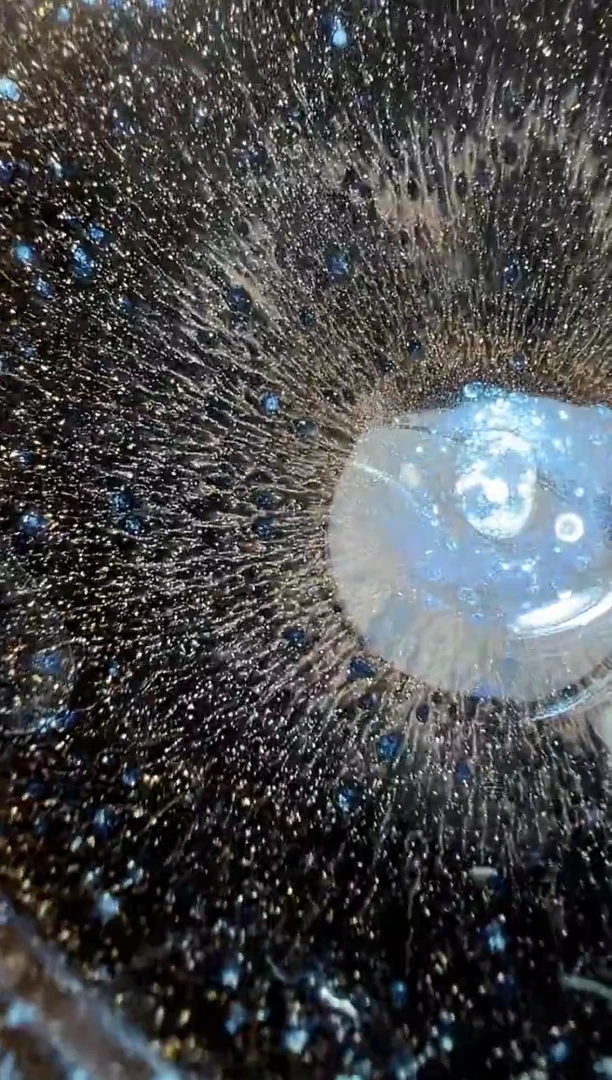 茶盏8双和龙窑赖晓波开窑360