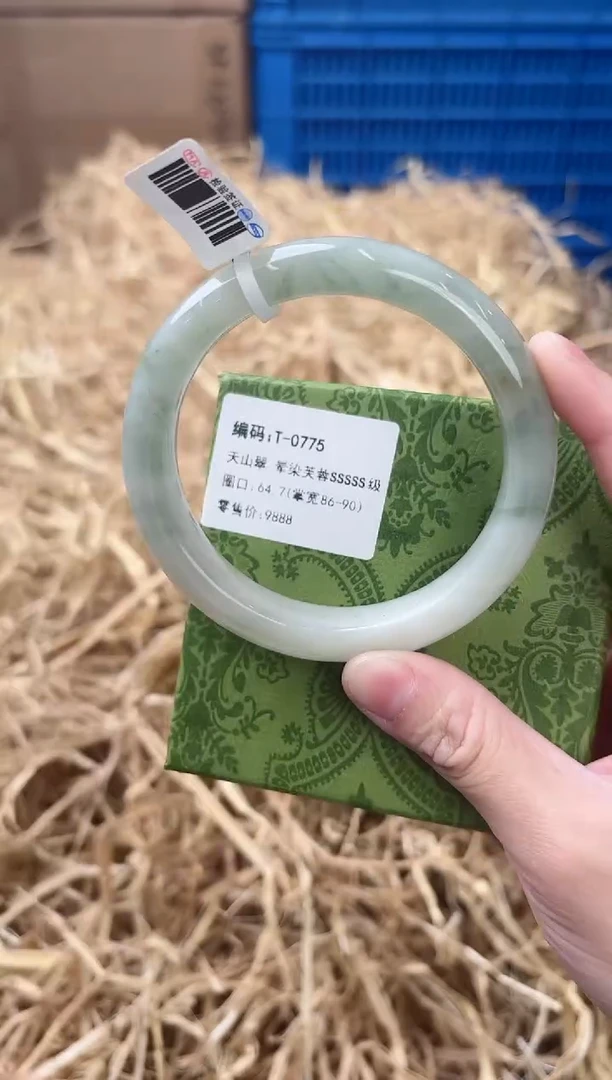 未镶嵌手镯石英质玉T-0775