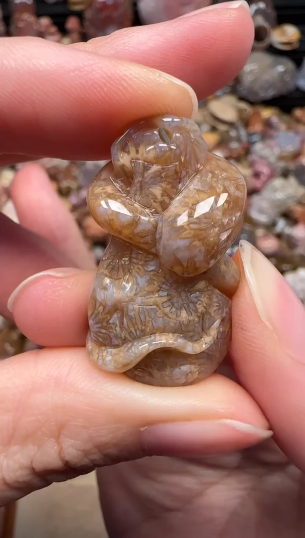 颈饰未镶嵌硅化珊瑚（珊瑚玉）867