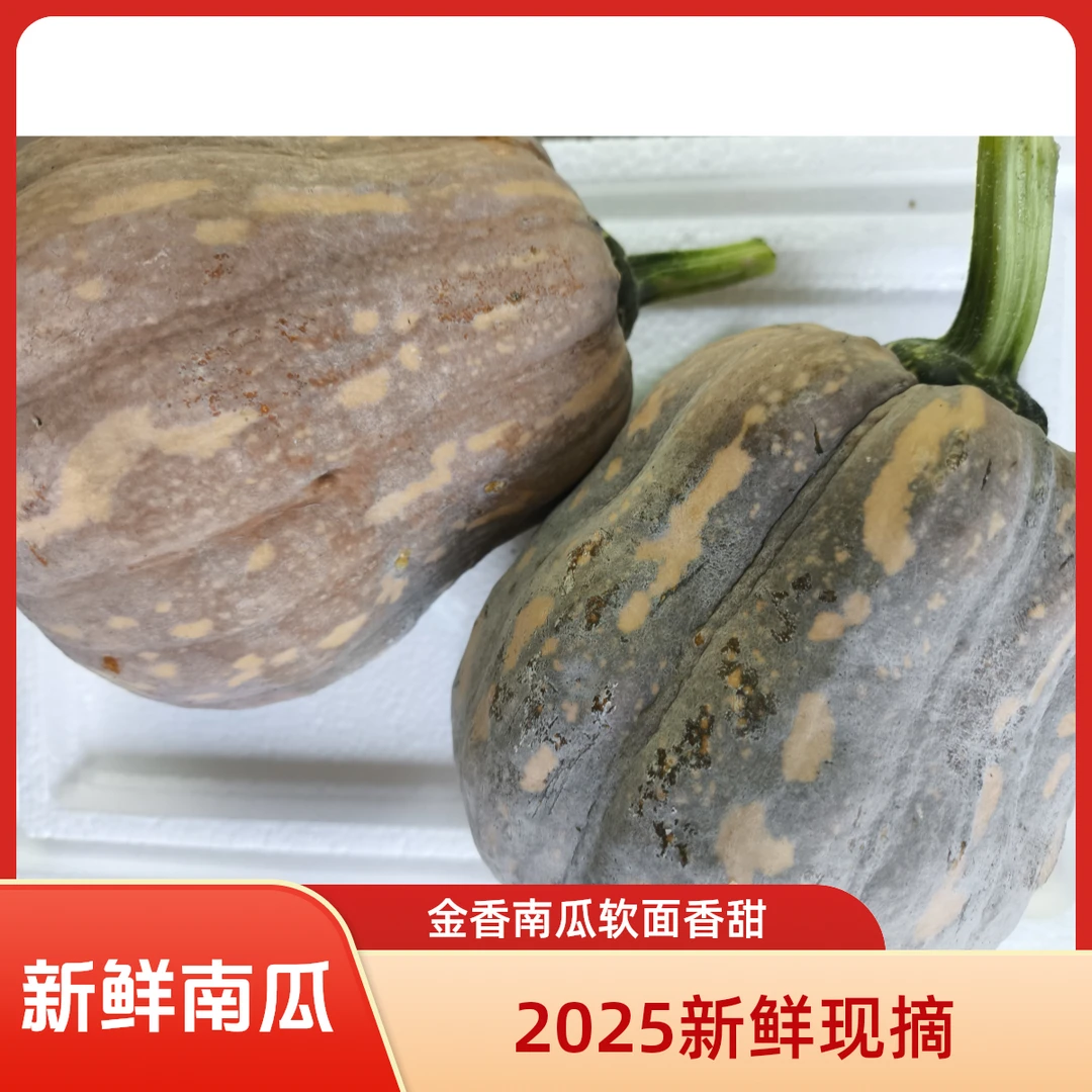 新鲜现摘金香南瓜软糯香甜当季时令南瓜蔬菜