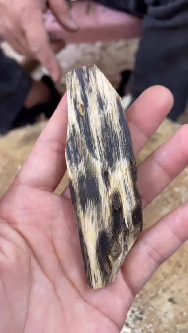 【闪购商品】沉香木沉香碎屑棋楠沉香 原料文创1