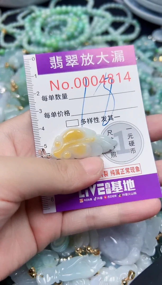 颈饰未镶嵌翡翠4814