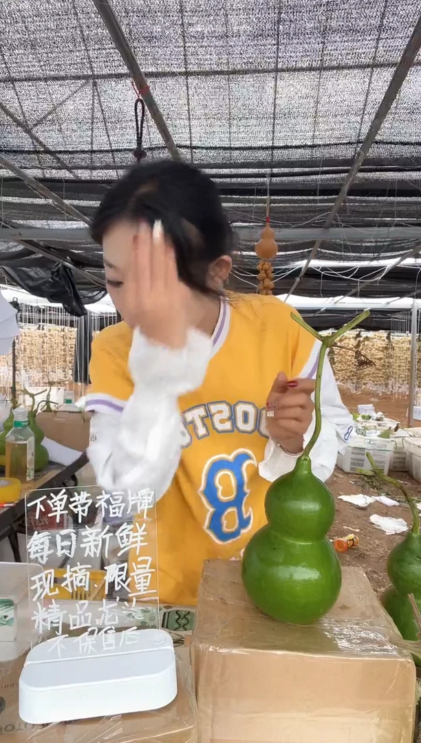 顾*293天然葫芦摆件 一物一拍龙头不保售后