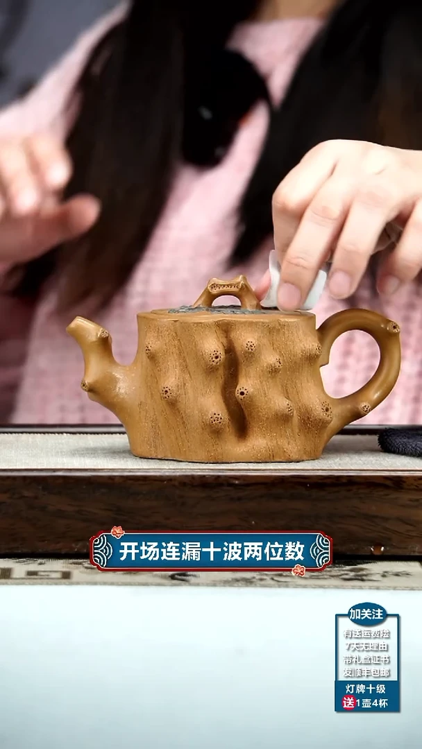 【闪购商品】紫砂茶壶蒋静明黄金段松桩250cc（蜂窝）