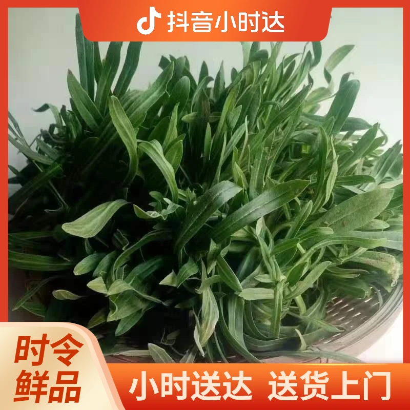 新鲜 野生面条菜野菜 750g/份