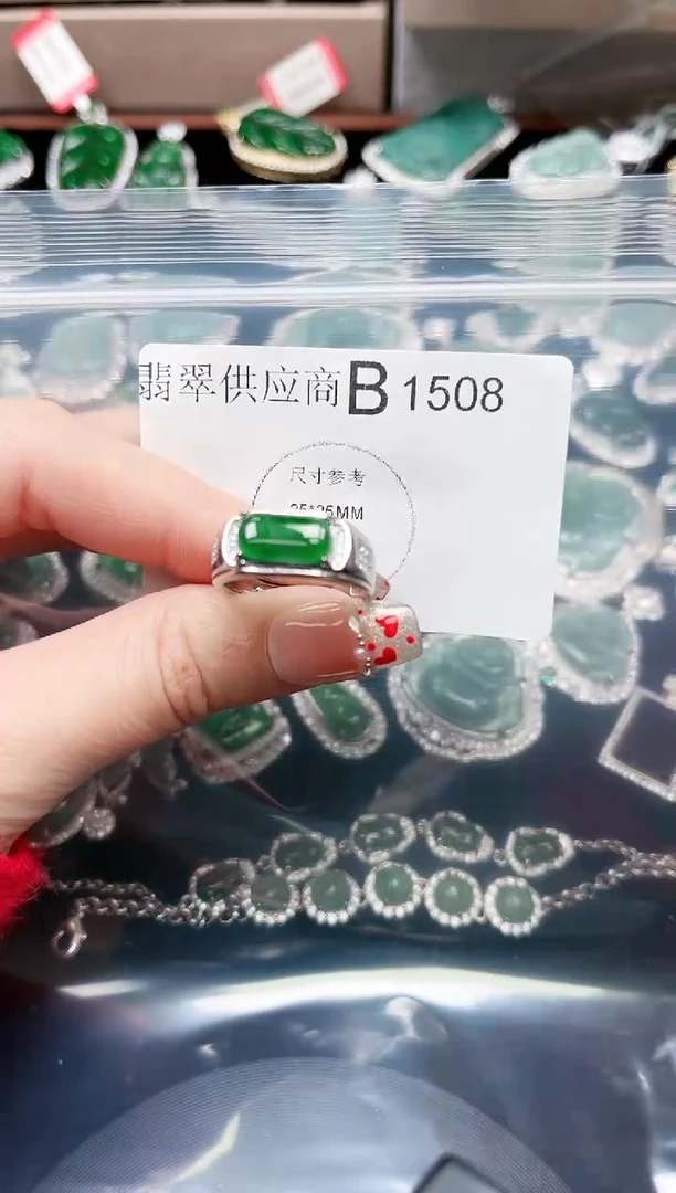 【闪购商品】翡翠颈饰未镶嵌1508赠皮绳