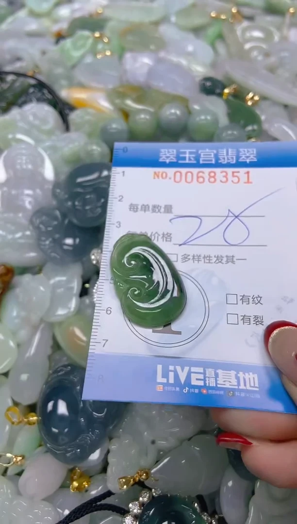 【闪购商品】翡翠颈饰未镶嵌闪购0068351