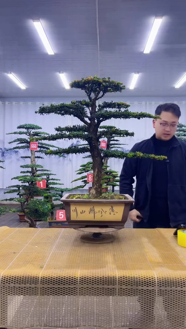 无花朵0000000000000000000