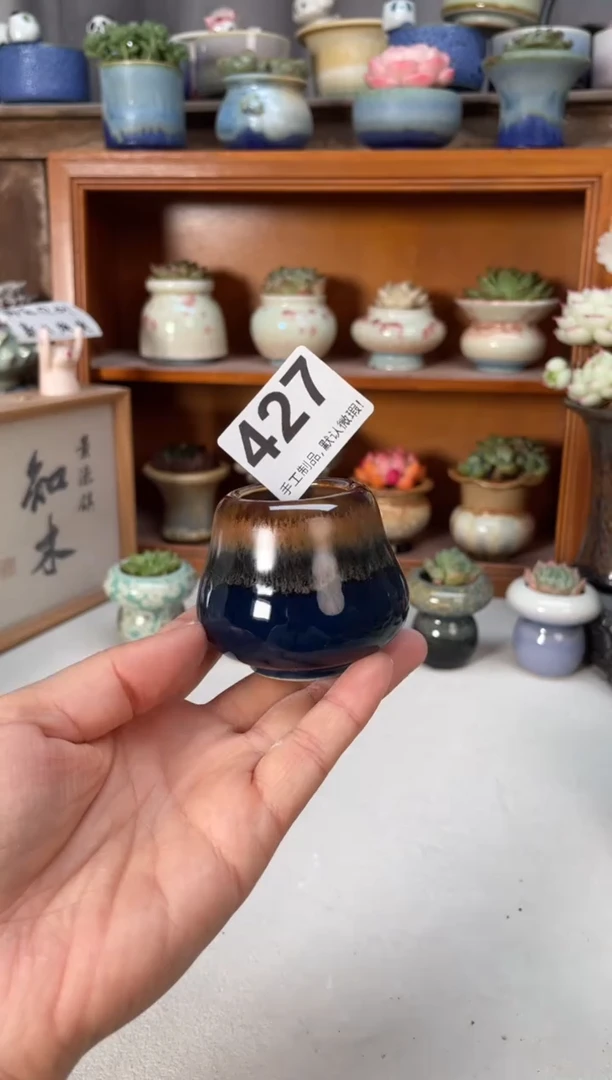 瓷片427小芳直播编号