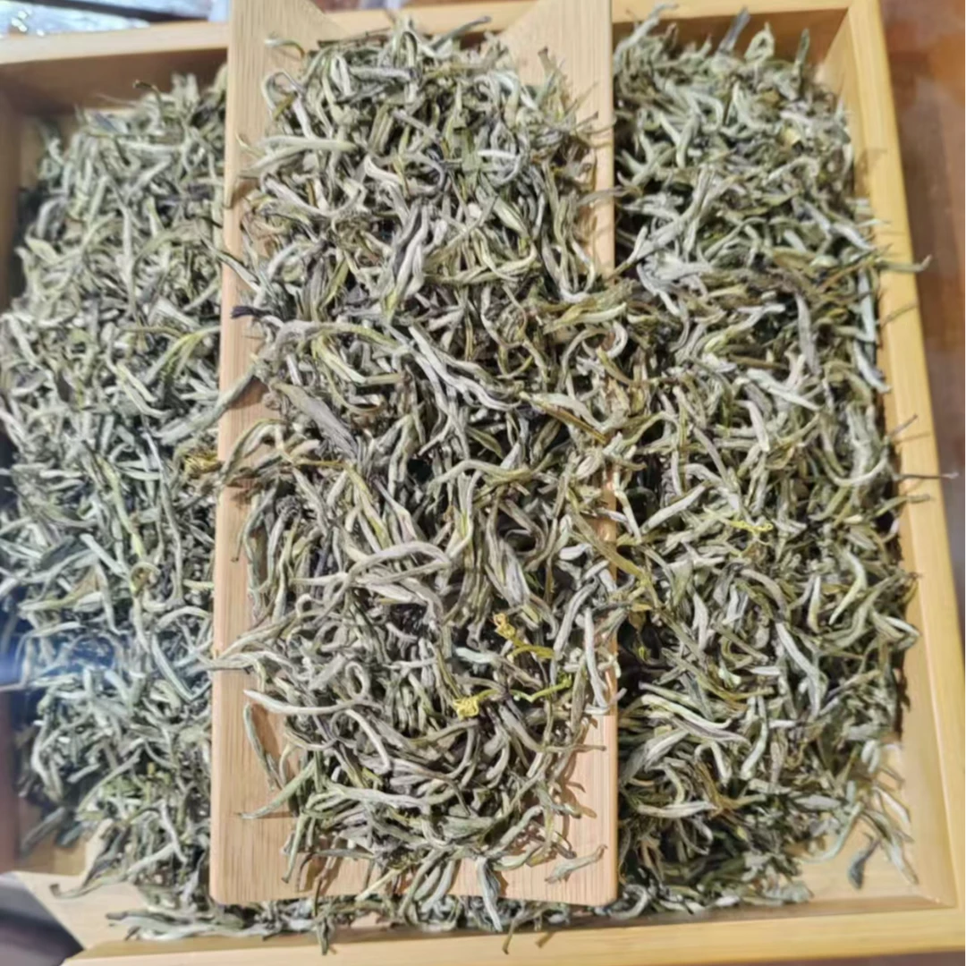 福建茉莉金针2025年新茶春茶茉莉花香