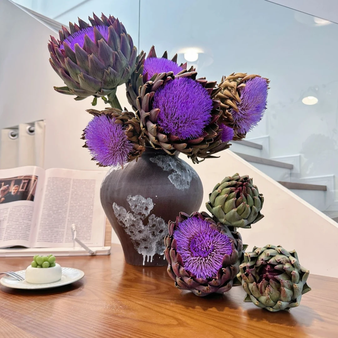 【洋蓟 宝莲灯】永生雪莲 洋蓟 神仙花材 花期长好养活鲜切基地直发