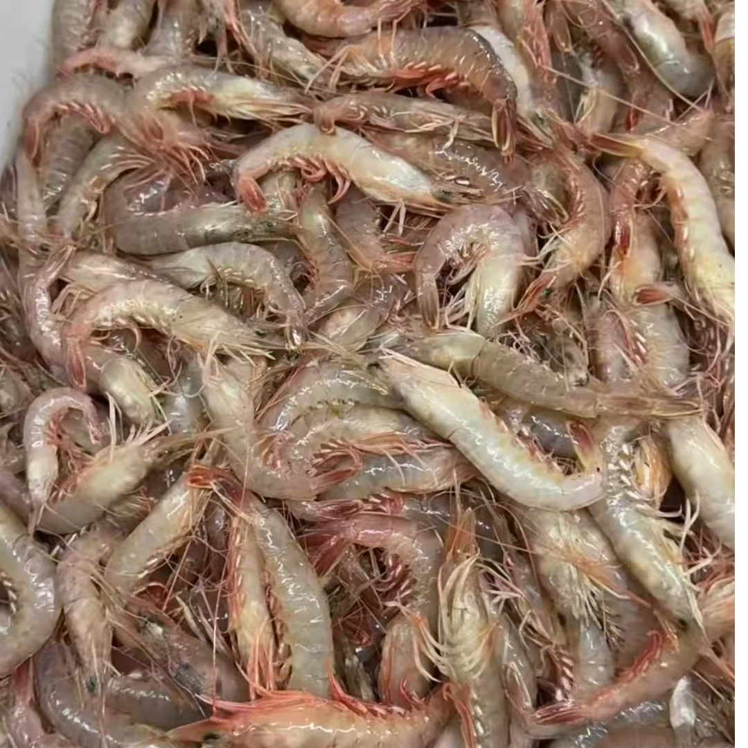 祥哥专用 大连野生灯笼红鹰爪虾  （顺丰包邮）