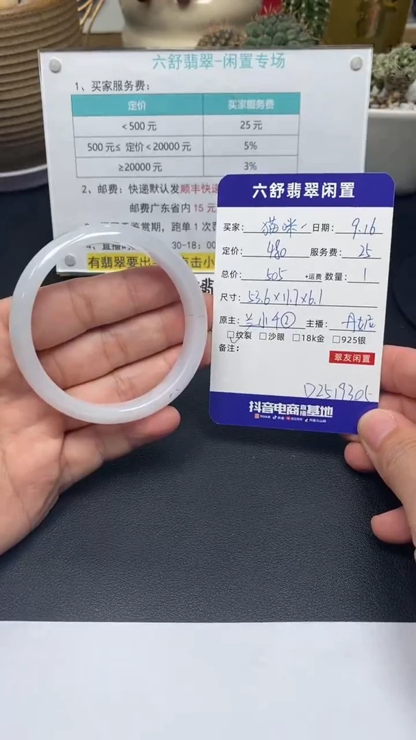 未镶嵌手镯翡翠猫**儿D2519305