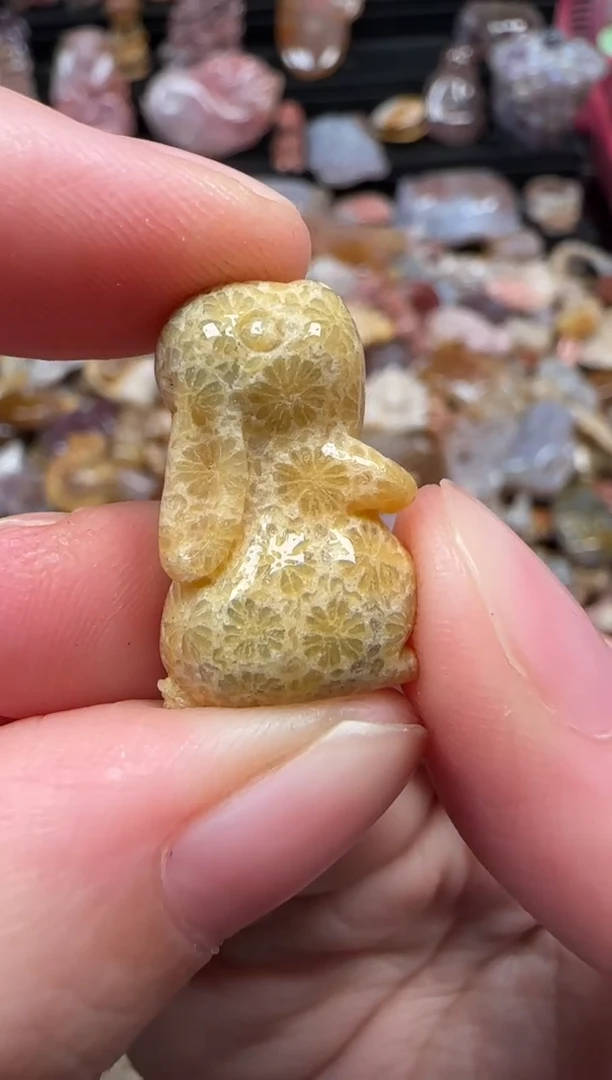 颈饰未镶嵌硅化珊瑚（珊瑚玉）276