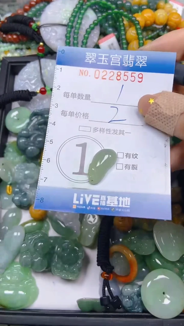 颈饰未镶嵌翡翠闪购C0228559