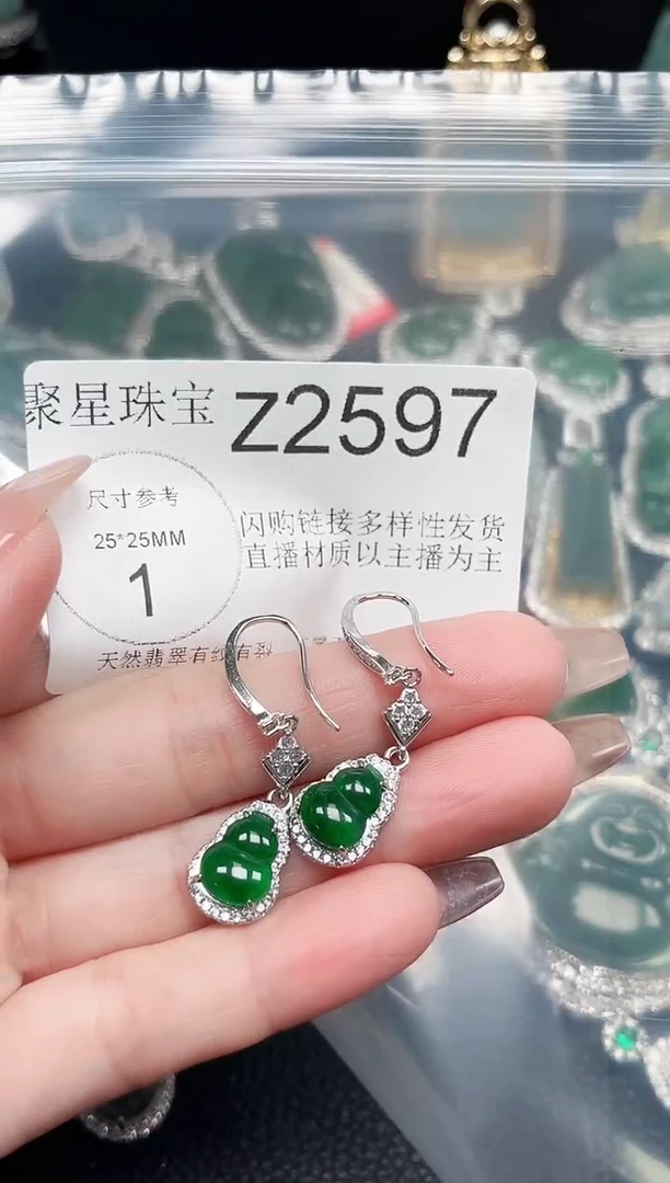 【闪购商品】翡翠颈饰未镶嵌赠皮绳2597