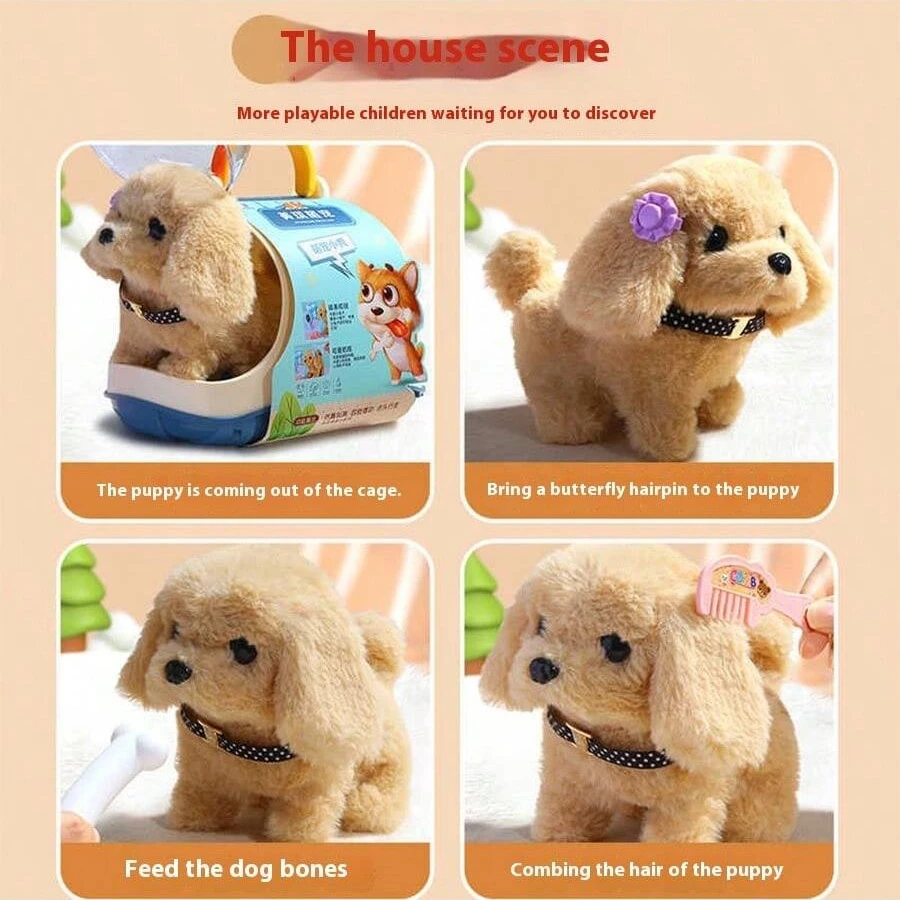 5岁到20岁发射玩具礼物