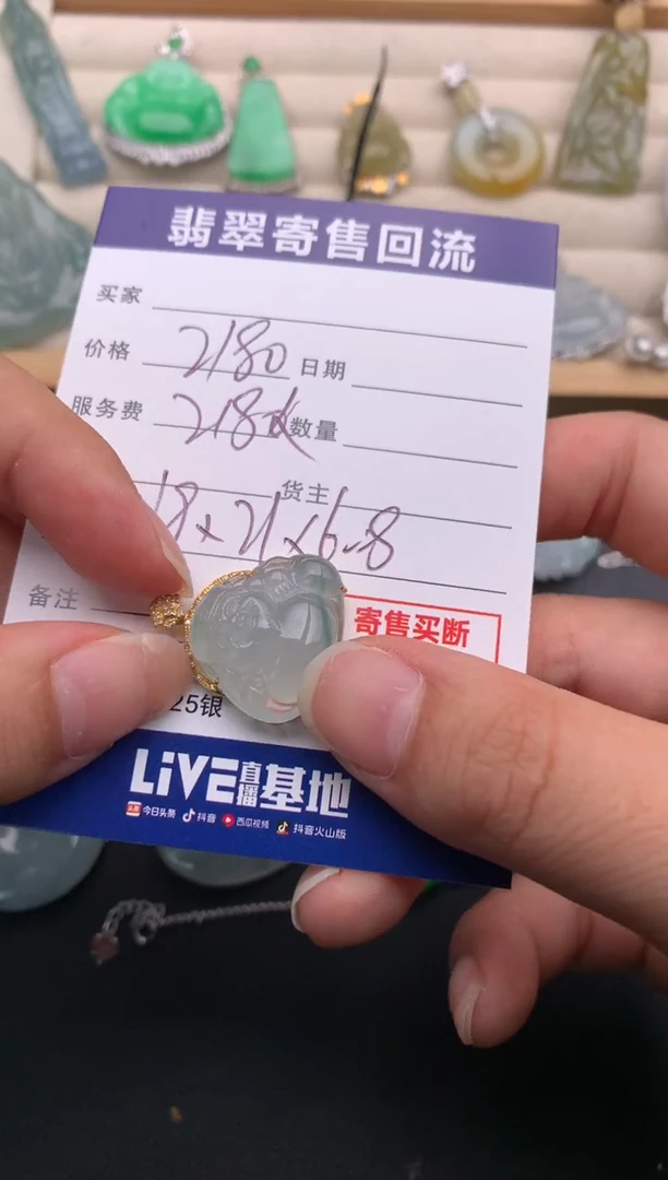 翡翠18K金镶嵌颈饰10138211
