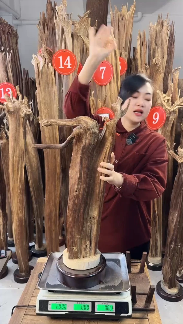 【闪购商品】沉香摆件沉香摆件多样性发一件63
