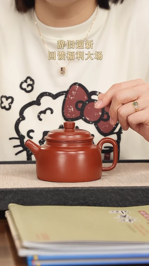 【闪购商品】紫砂茶壶紫砂紫砂紫砂