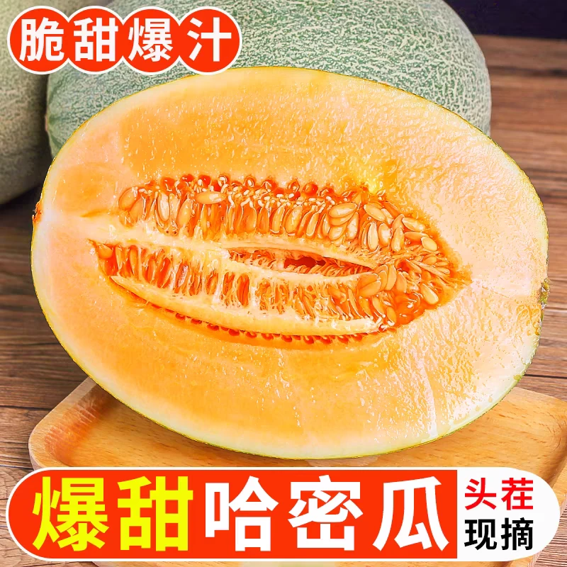 鲜果海南哈密瓜晓蜜25号网纹瓜脆甜爆汁果香浓郁香甜爽口西洲密