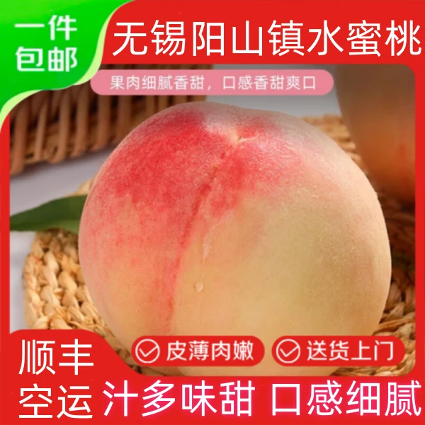 正宗无锡水蜜桃阳山水蜜桃子纯甜多水白凤新鲜水果8-12枚礼盒装