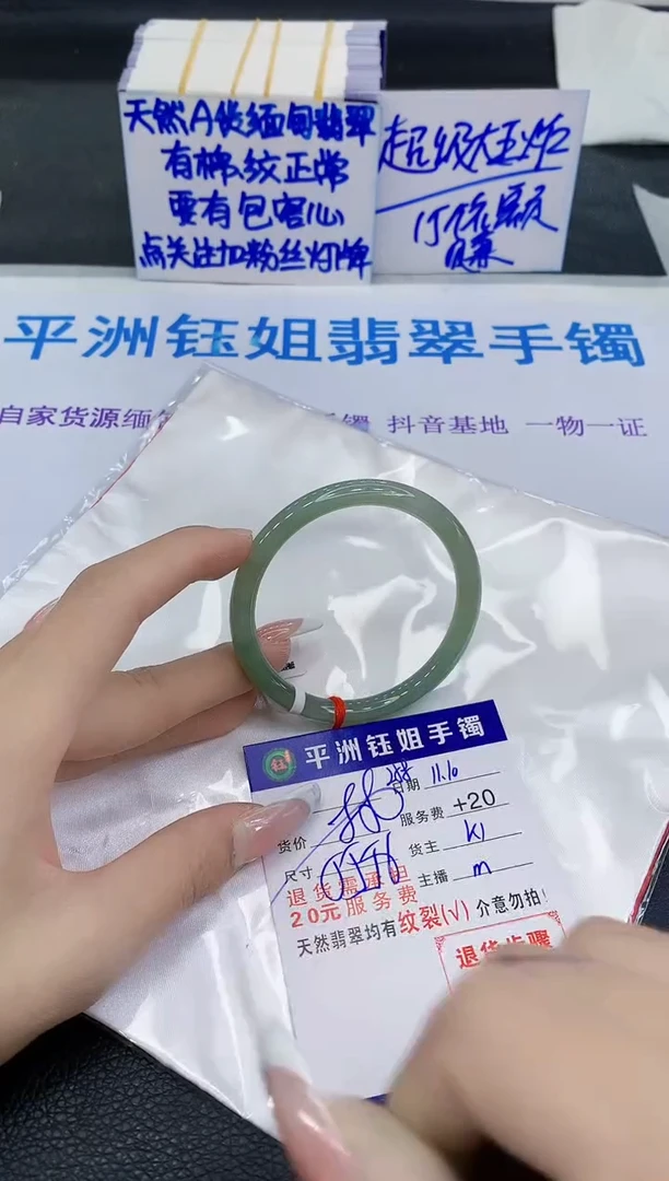 未镶嵌手镯翡翠11111