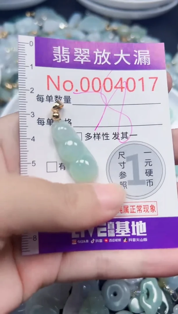 颈饰未镶嵌翡翠4017