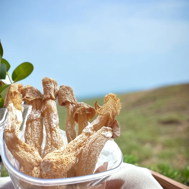 广元特产竹荪干货煲汤炒菜火锅好食材新鲜天然