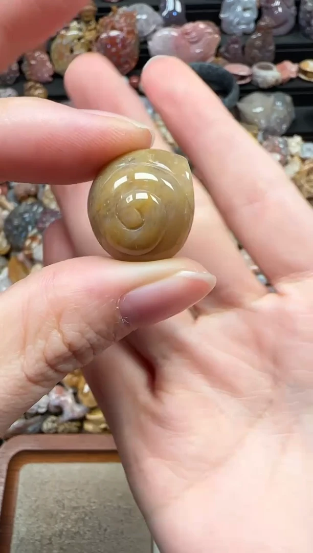 颈饰未镶嵌硅化珊瑚（珊瑚玉）729