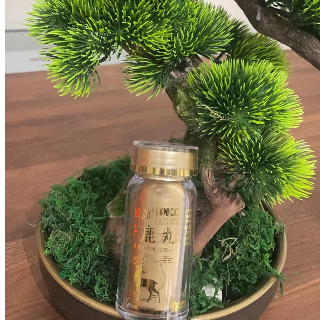 鹿松源 仔鹿丸