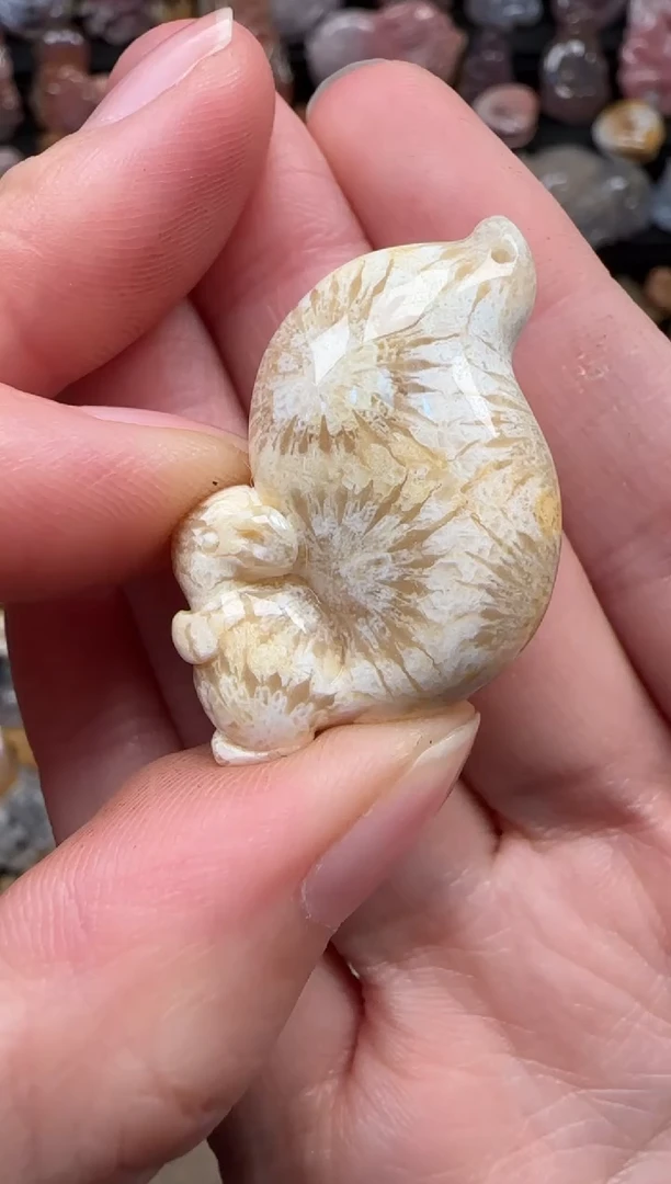 颈饰未镶嵌硅化珊瑚（珊瑚玉）203