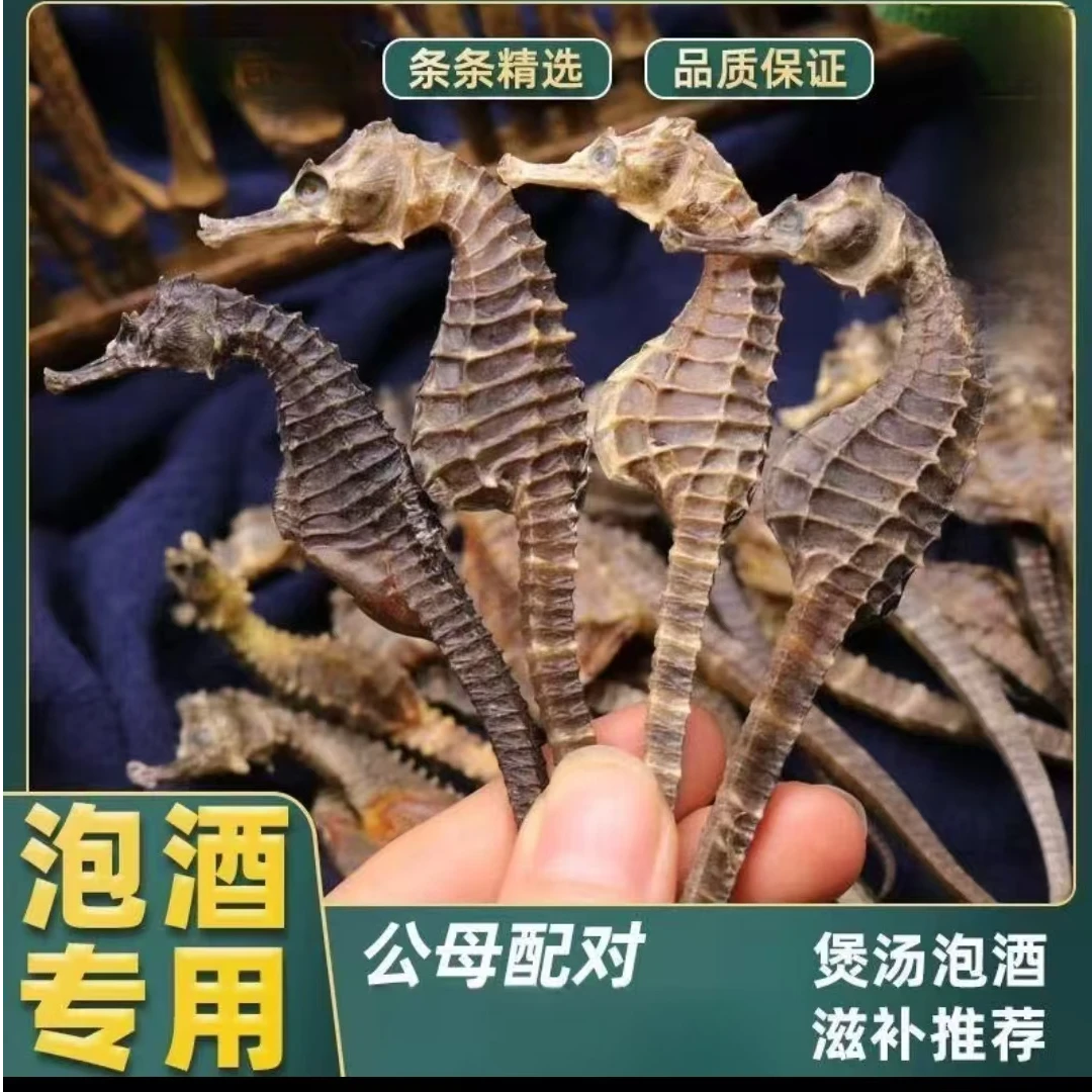 【泡酒煲汤专用】海干货鱼马干货煲汤公母一对正品泡酒专用搭枸杞