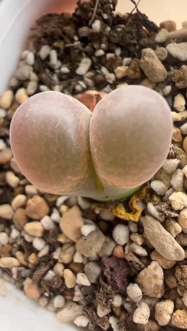 128。。。。。。。。。。。。。。。