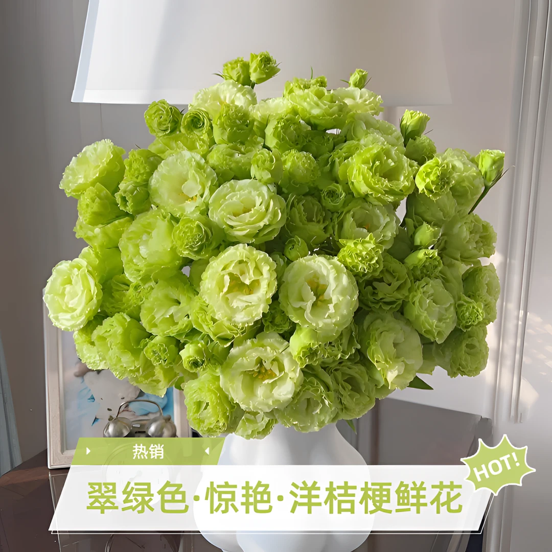 【翠绿色洋桔梗鲜花】600克大分量 花期持久   满2单发顺丰