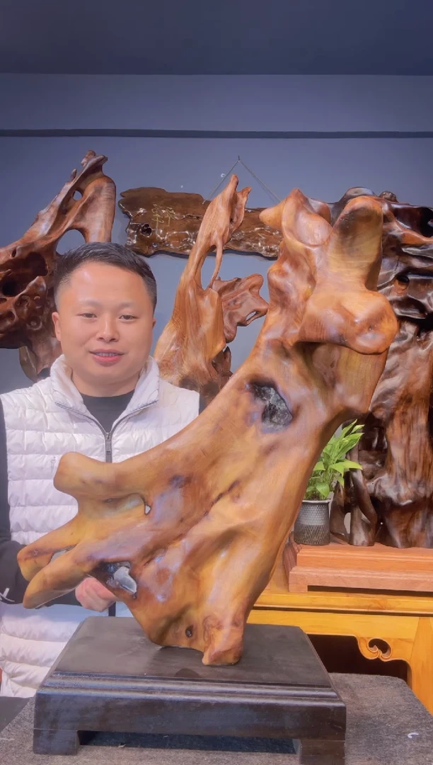 【闪购商品】金丝楠直播间介绍为准