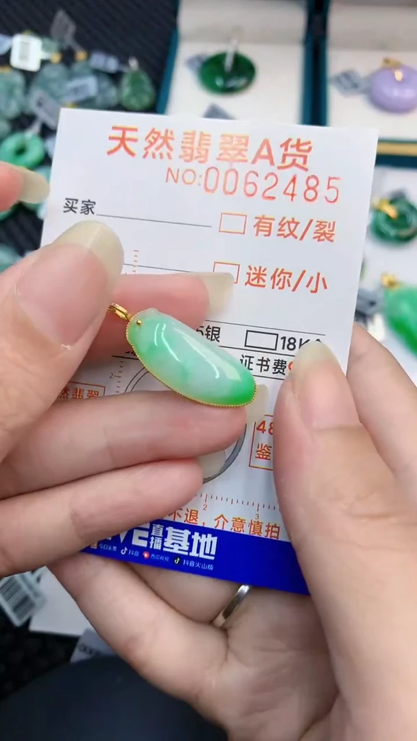 【闪购商品】翡翠颈饰18K金镶嵌000000008