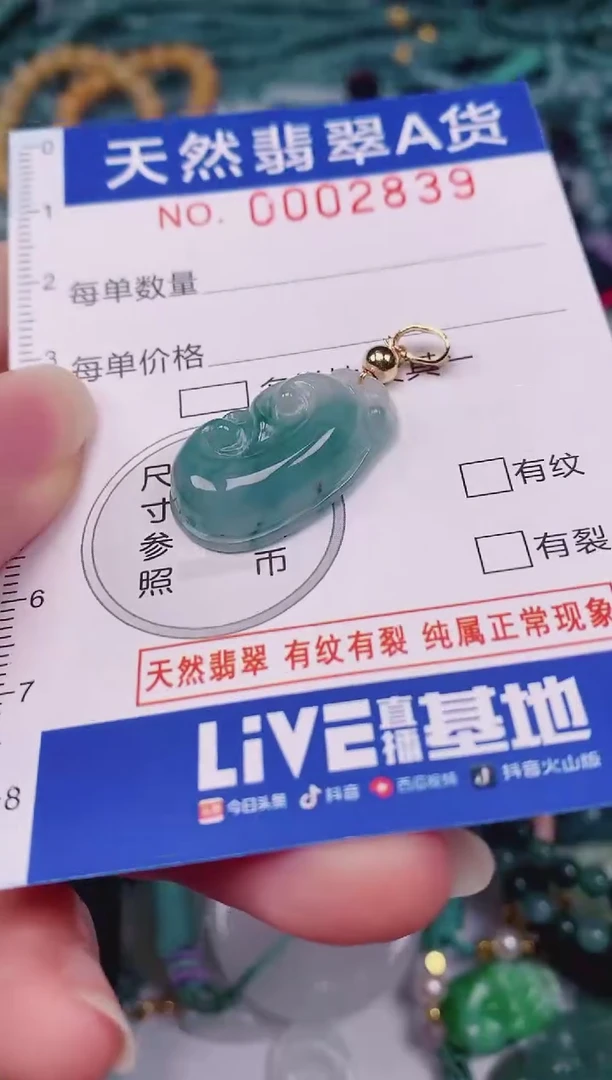 颈饰未镶嵌翡翠00002839