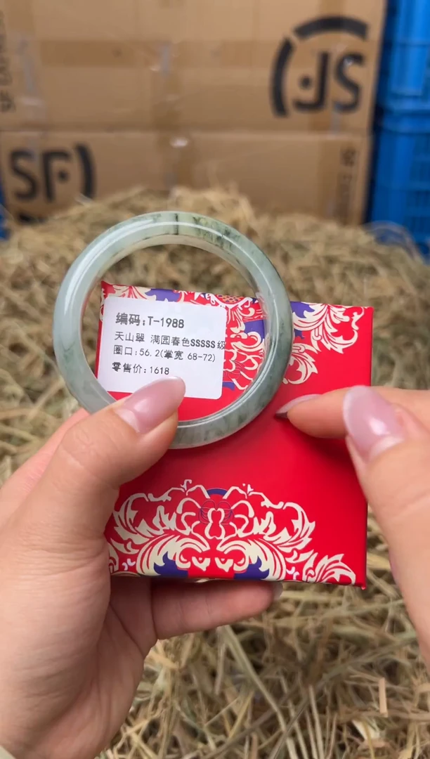 未镶嵌手镯石英质玉T-1988